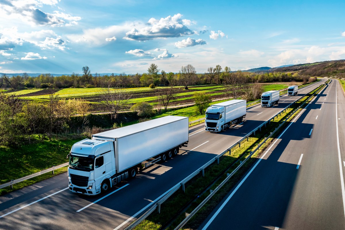 SaaS Logistics Systems vs Custom Logistics Software: How to Choose